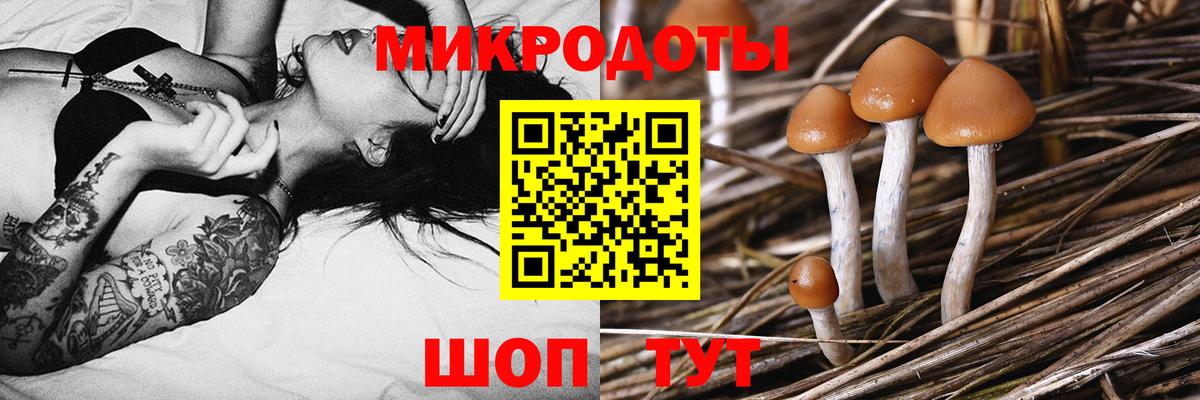Галлюциногенные грибы мухоморы  наркотики  Златоуст  Вход с VPN 